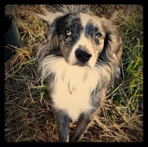 Meet your Posher, Amber